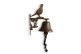 Cloche Oiseau Fonte Marron 12x7.5x17cm