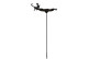 Bevanda per uccelli Angel su supporto in ghisa marrone 35.5x27.5x82.5cm