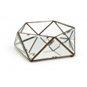 Bronze Glass Box Bronze 27x26x10cm