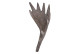 Scultura in legno marrone 25x15x65cm