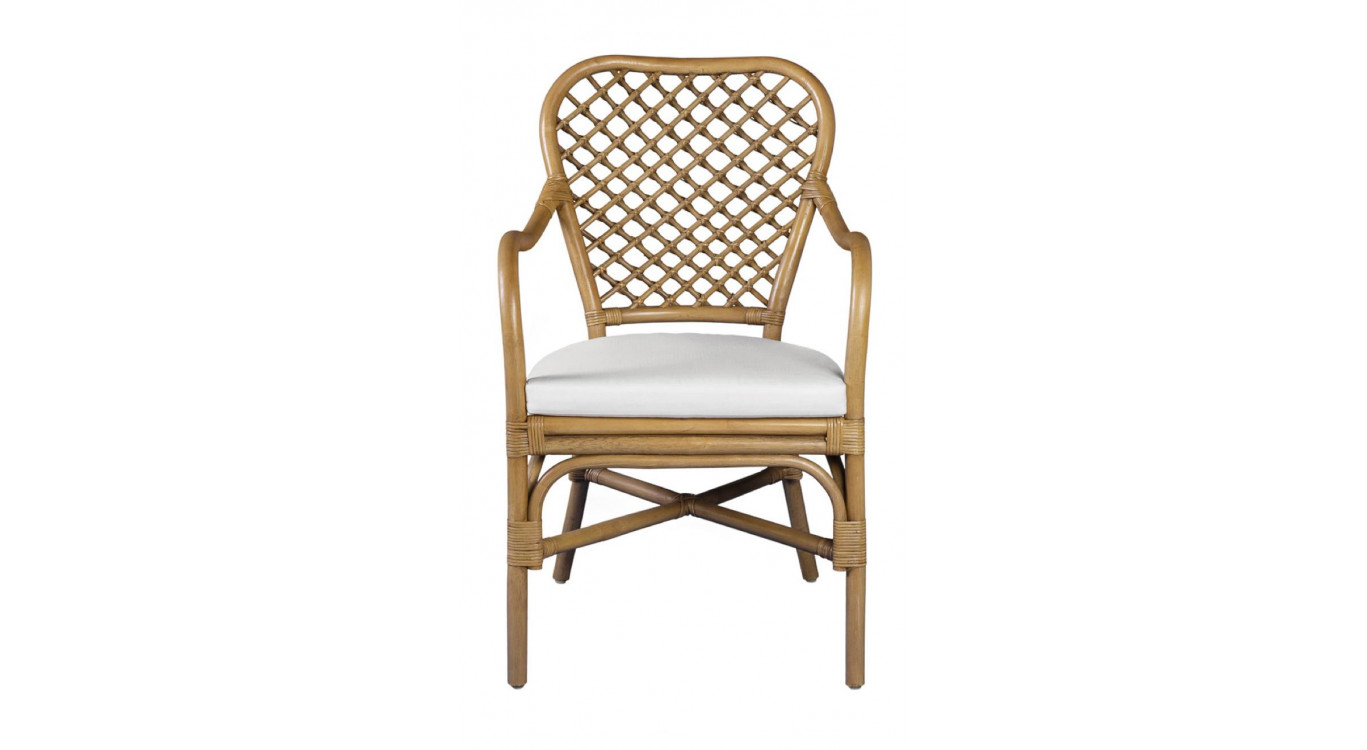 Fauteuil Avec Coussin Rotin Polyester Marron 56x64x95cm
