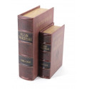 Book William Shakespeare Carton Similicuir Red 19x7x27cm