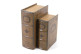 Libro Notre Dame similpelle marrone 19x8x25cm