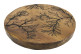 Wandbild Holz Braun 50x50cm