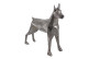 Sculture Dog Iron Silver 65x19x60cm