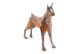 Sculture Hund Eisen Orange 65x19x60cm