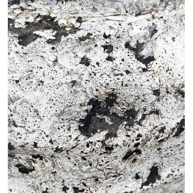 new