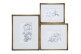 Rahmen Buntstifte Vögel (Set Von 3)