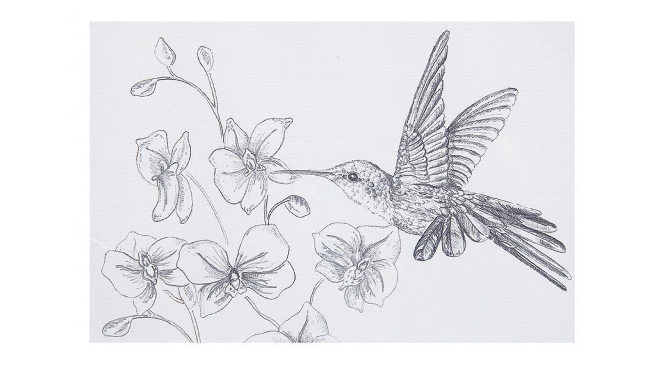 Cadre Oiseaux Crayonnés (Set De 3)