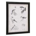 Gravure ancienne