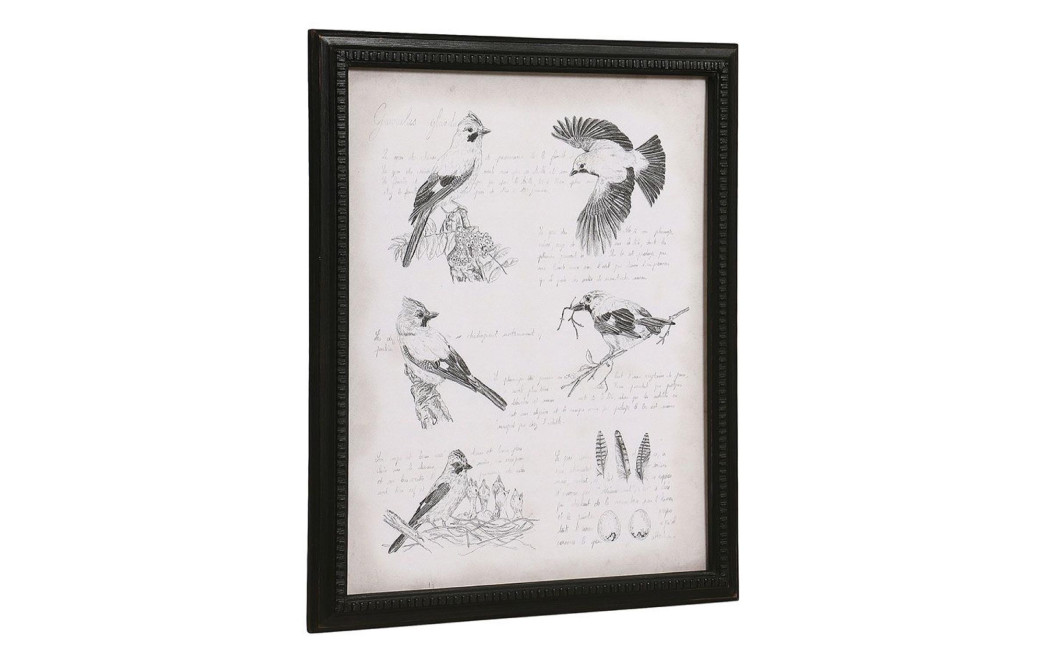 Gravure Ancienne