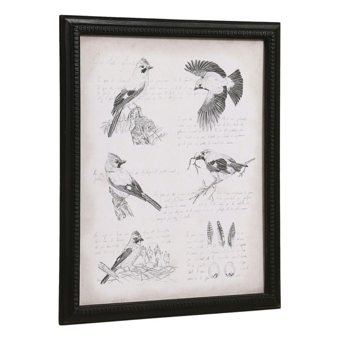 Gravure Ancienne