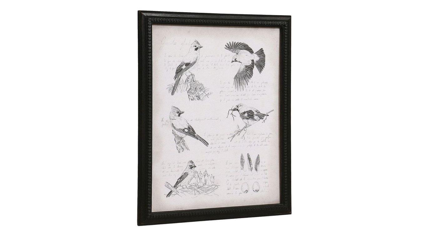 Gravure Ancienne
