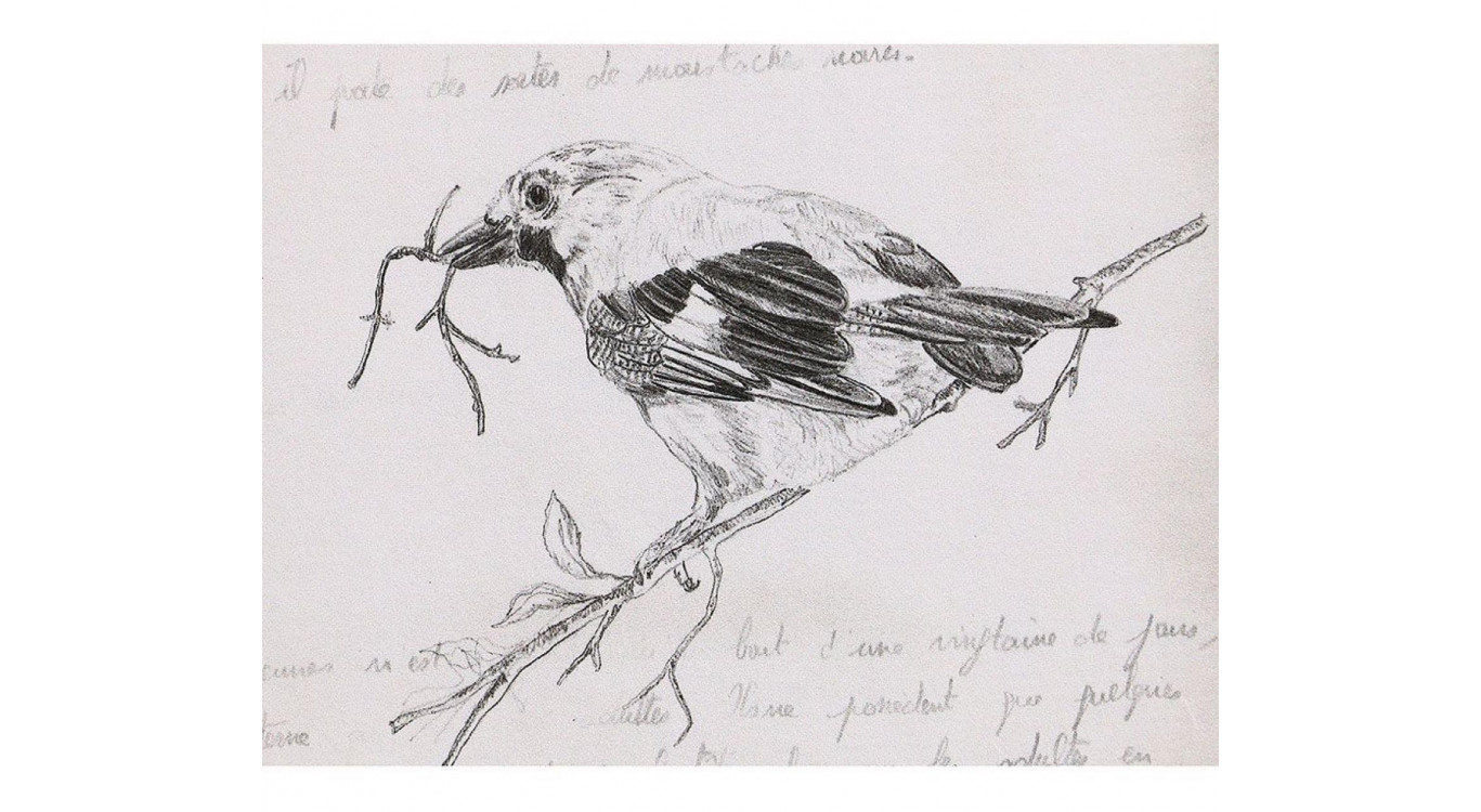 Gravure Ancienne