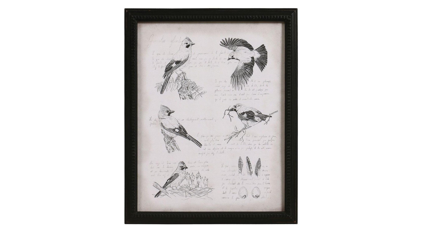 Gravure Ancienne