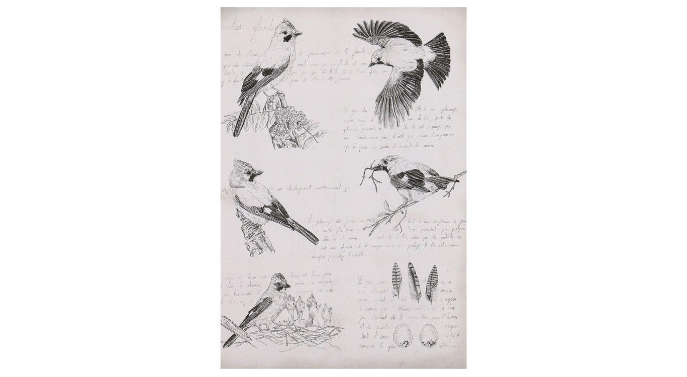 Gravure Ancienne