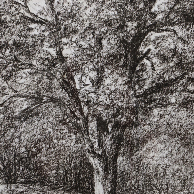 Triptyque Toile De Jouy