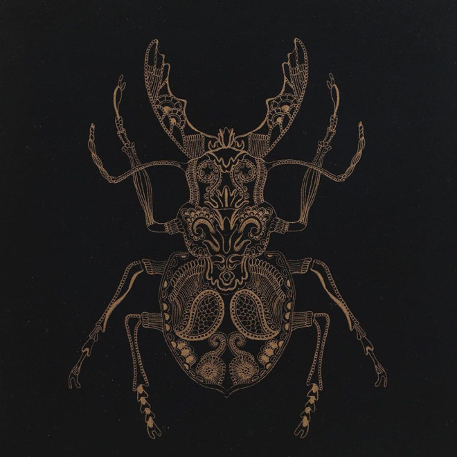Gravure Insecte (Set De 4)
