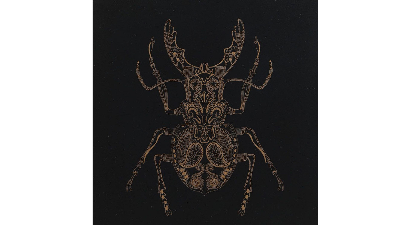 Gravure Insecte (Set De 4)