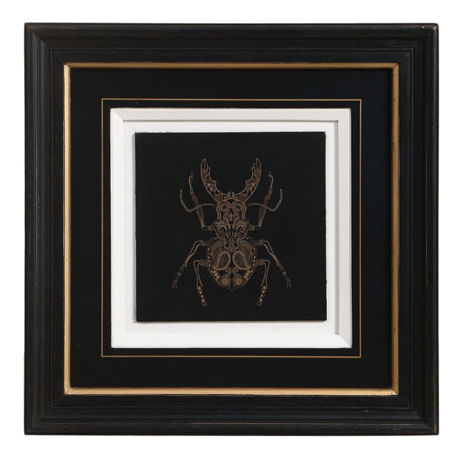 Gravure Insecte (Set De 4)