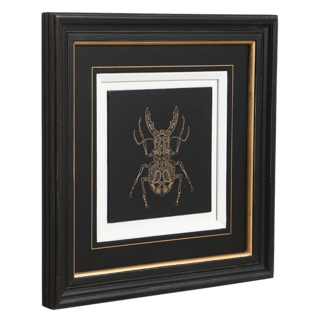 Gravure Insecte (Set De 4)