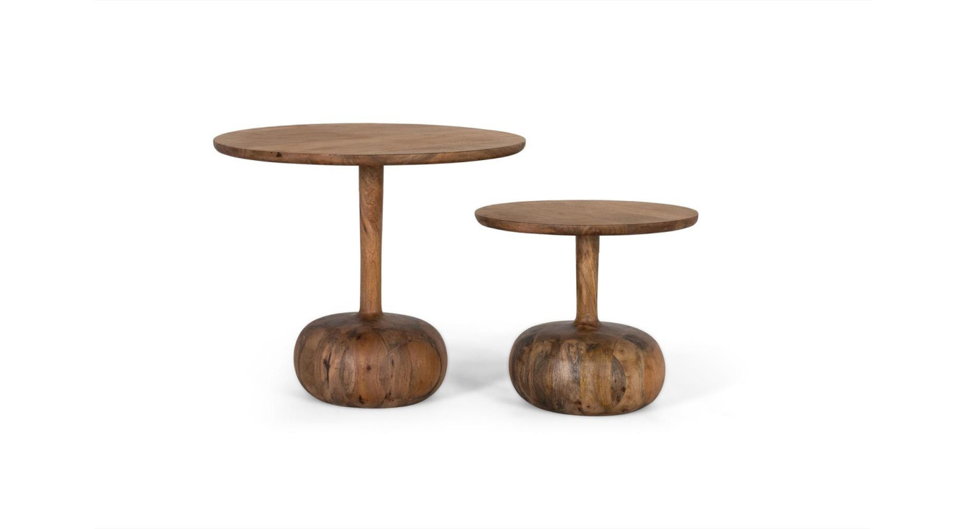 Lot de 2 tables basses