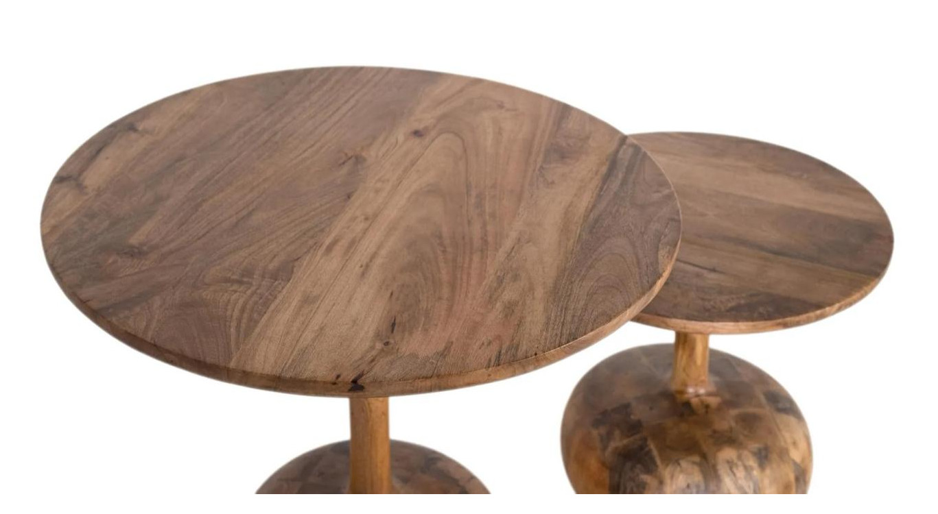 Lot de 2 tables basses