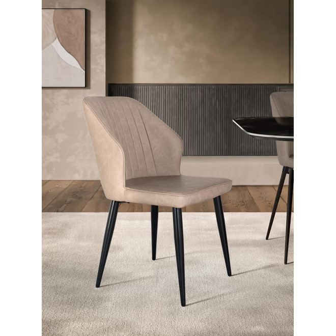 Lot de 2 chaises