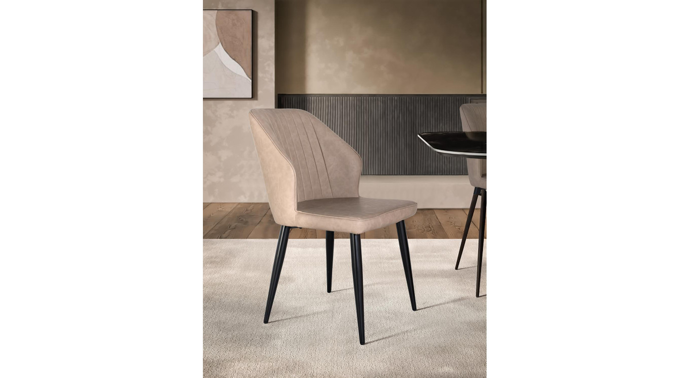 Lot de 2 chaises