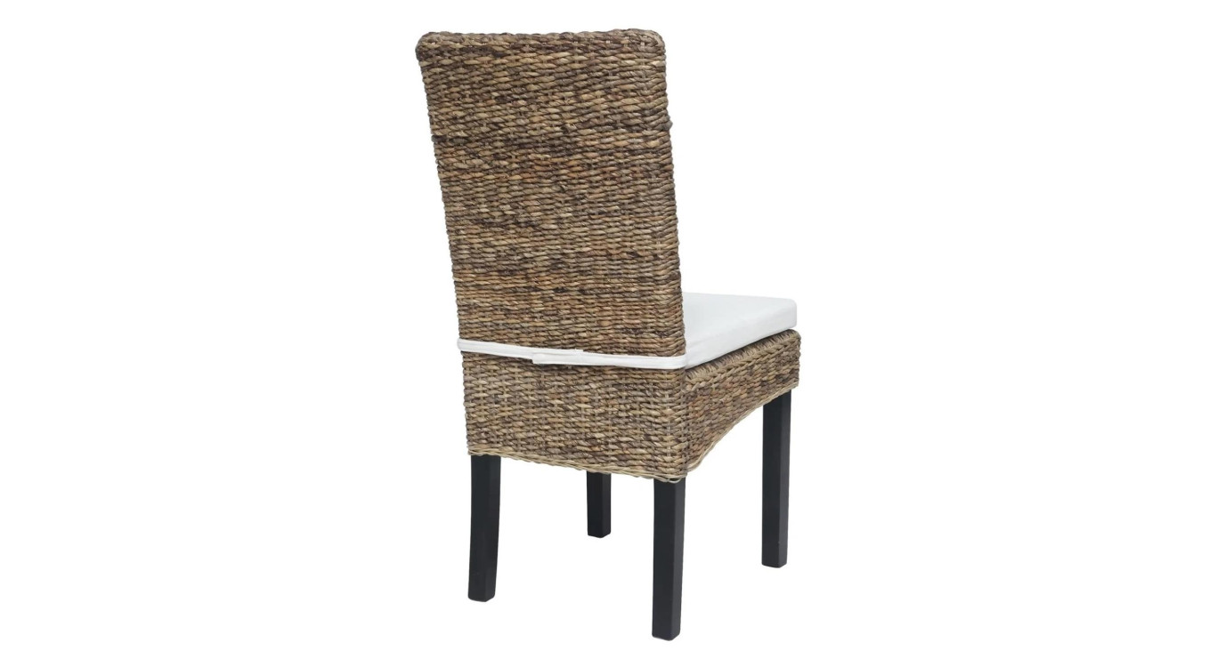 Lot de 2 chaises