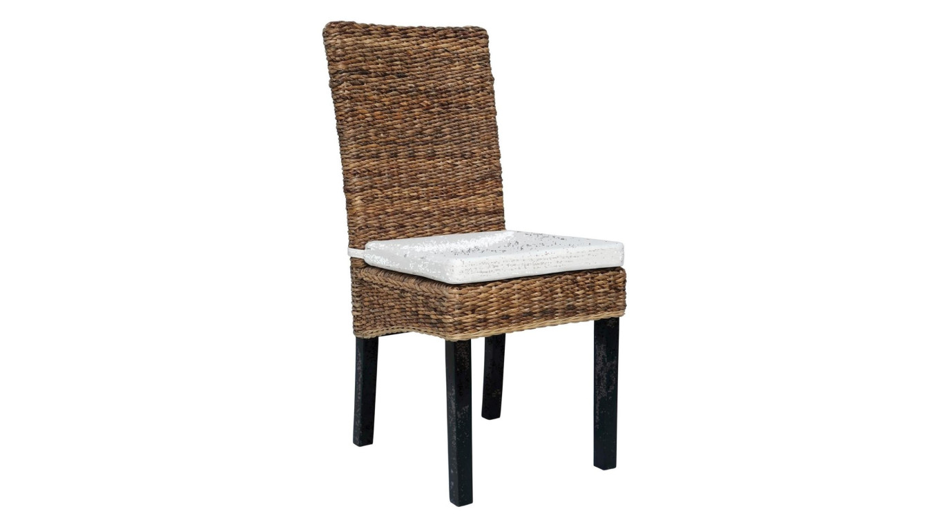 Lot de 2 chaises
